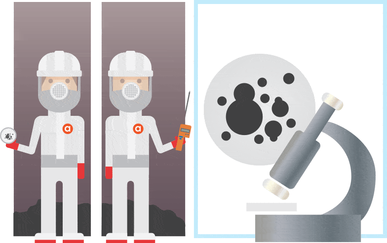 Mold Inspection & Testing Mold Inspection & Testing