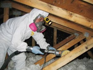 Mold remediation in attic Abbotts Cleanup and Restoration Colorado