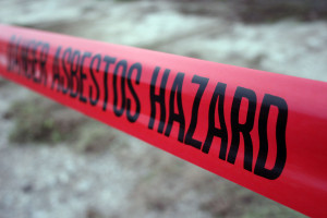 asbestos removal services denver