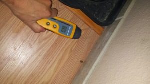 Mold testing inspection Abbotts Cleanup and Restoration Colorado