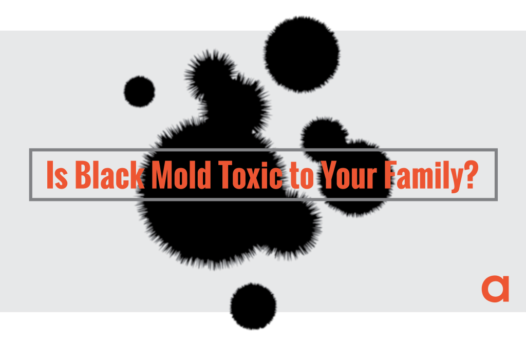 Is Black Mold Toxic to Your Family?