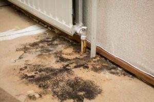 Abbotts Cleanup and Restoration Colorado mold damage and removal