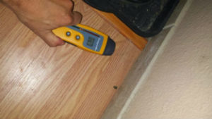 Mold-Testing-min-min Clearance Testing