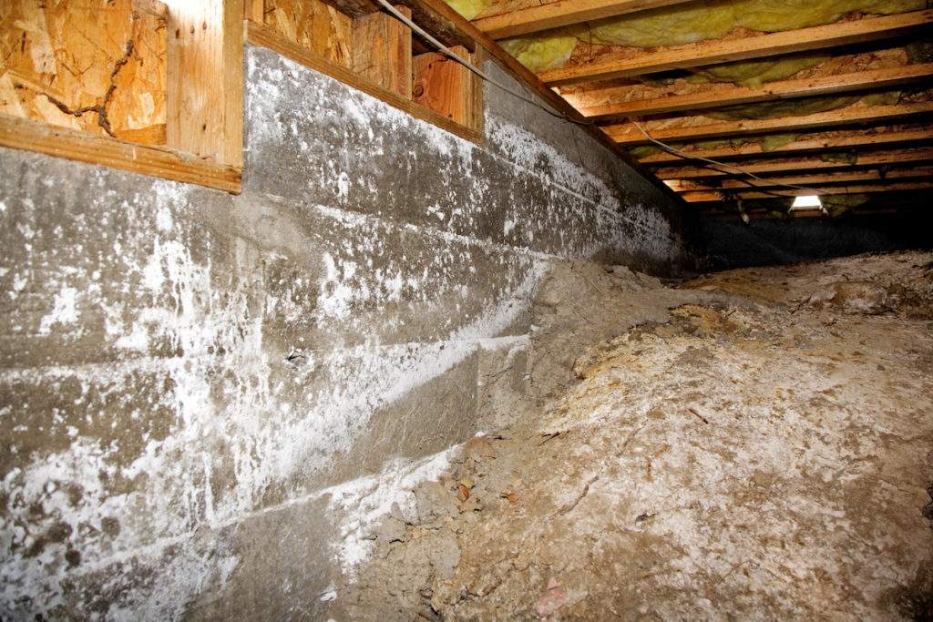 Water damage in your crawl space?