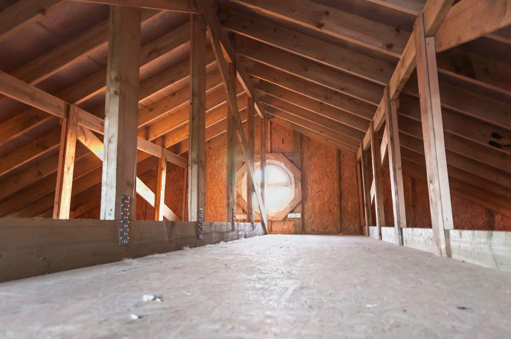 What to Do About Mold in Your Attic and Crawl Space