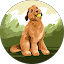 Nick Tinker Avatar